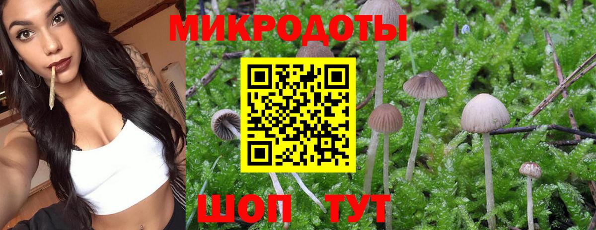 Псилоцибиновые грибы Psilocybine cubensis  Вход с VPN  Ишимбай 